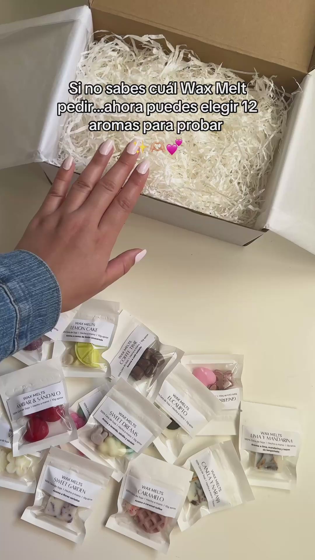 Kit degustación Wax Melts + Quemador + velas de té